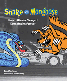 Snake vs. Mongoose by Tom Madigan