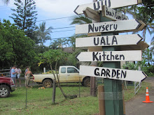 Entrance - Tuesday Farmers Market