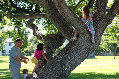 Climb A Tree