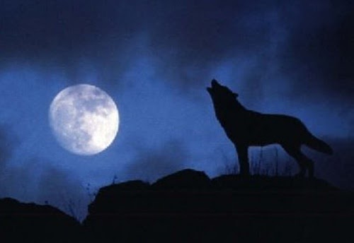 Image Result For Luna Llena Octubre Image Result For Luna Llena Octubre