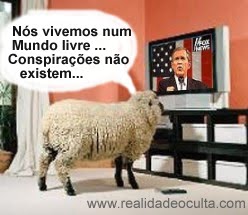 [sheep.jpg]