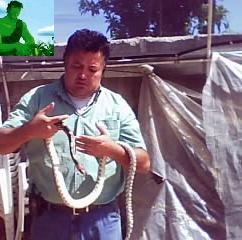 LOS MAL QUERIDOS DE LA NATURALEZA.  LOS REPTILES