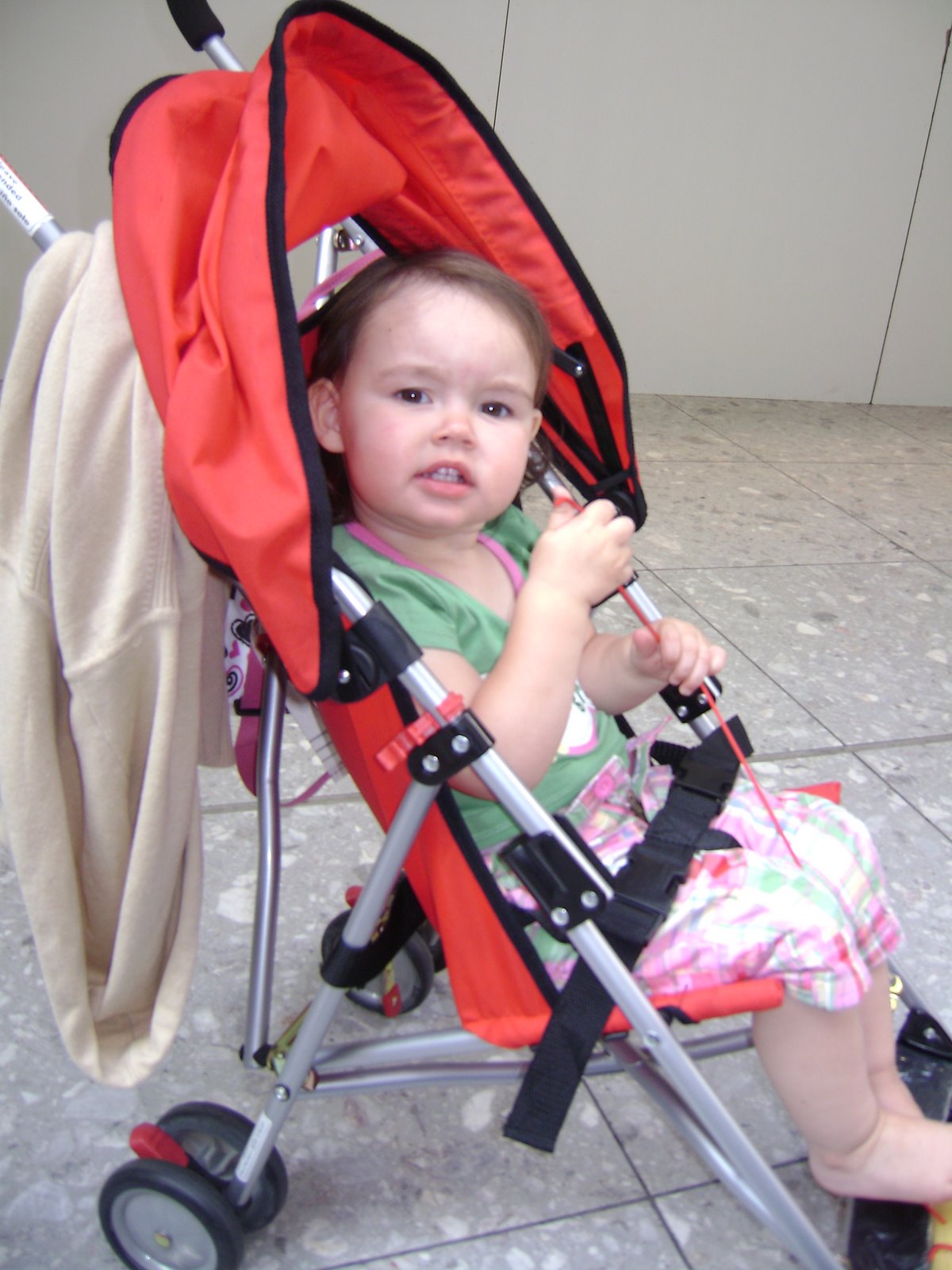 [DSC01461.JPG]