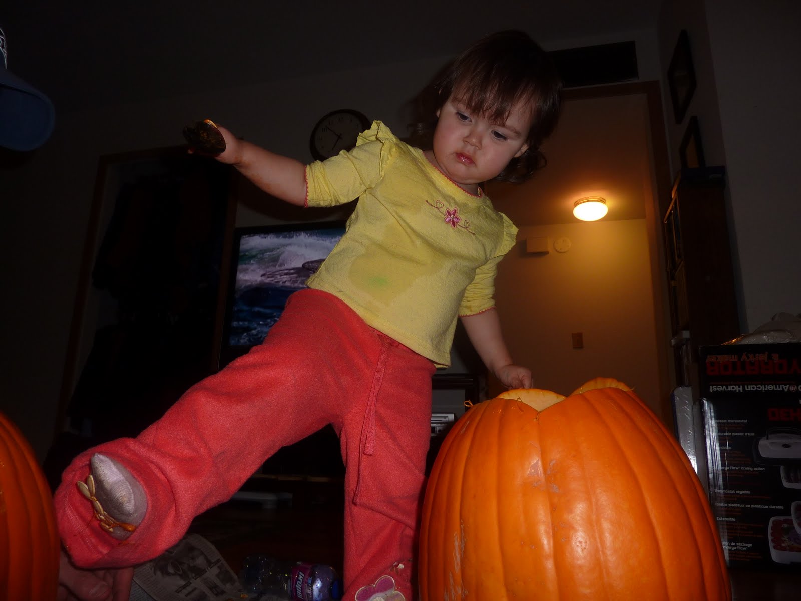 [130+pics+nov+3,+2009+036.jpg]