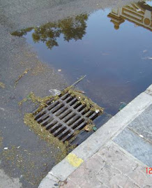 MALOS OLORES EN EL RECINTO FERIAL