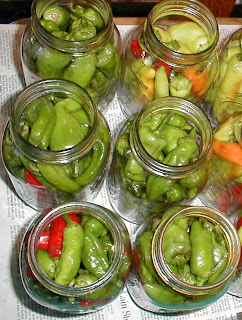 Get Pickled Pepperoncini Pics