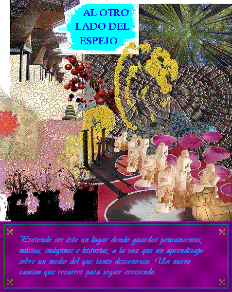 AL OTRO LADO DEL ESPEJO