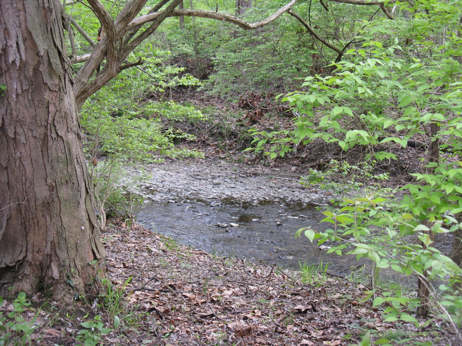 [IMG_3120.JPG]