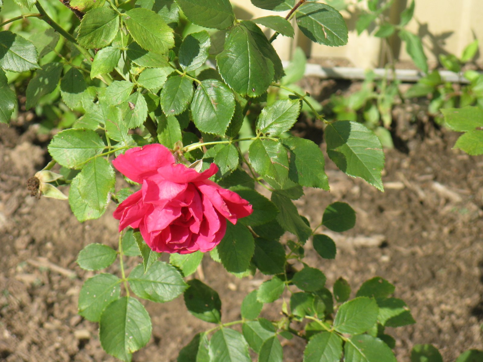 [IMG_3639.JPG]