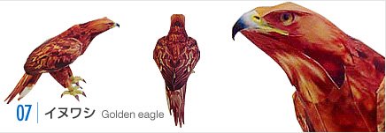 [golden+eagle+papercraft.jpg]