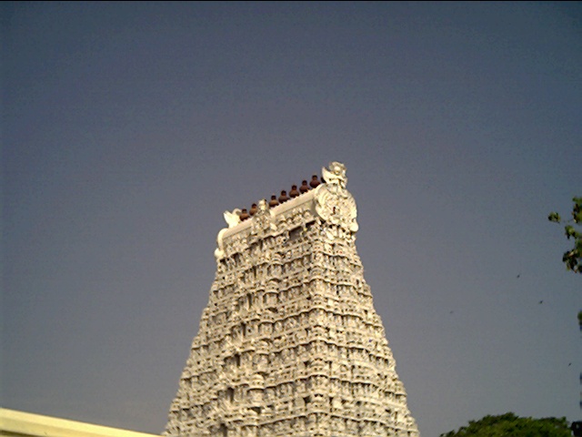 [Jun29475.JPG]