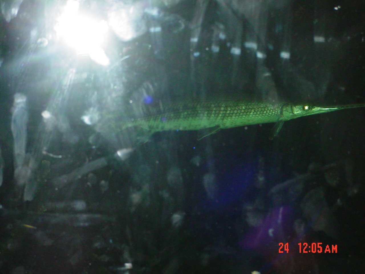 [DSC08132.JPG]