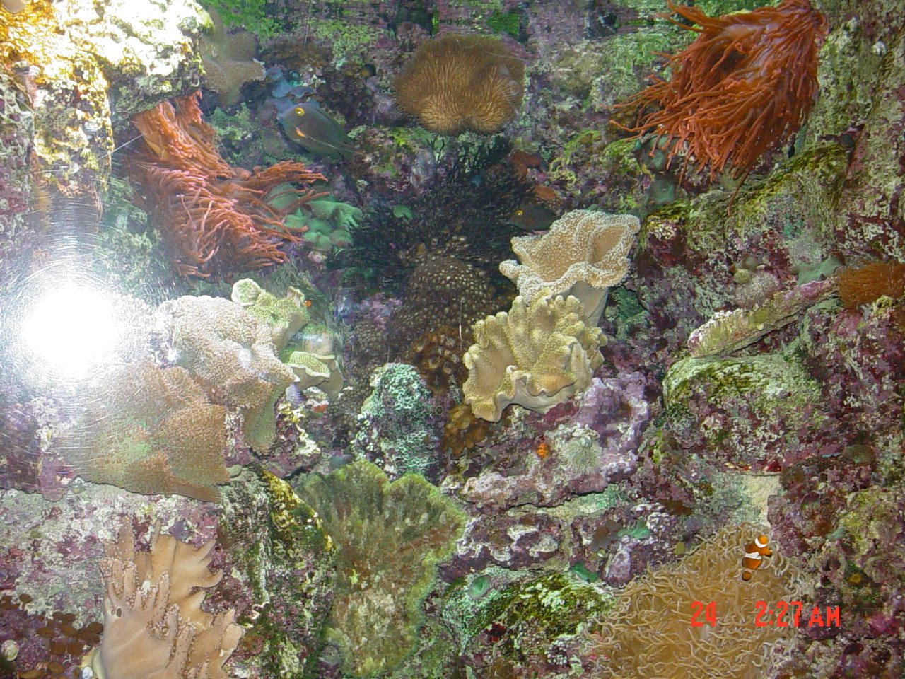 [DSC08167.JPG]