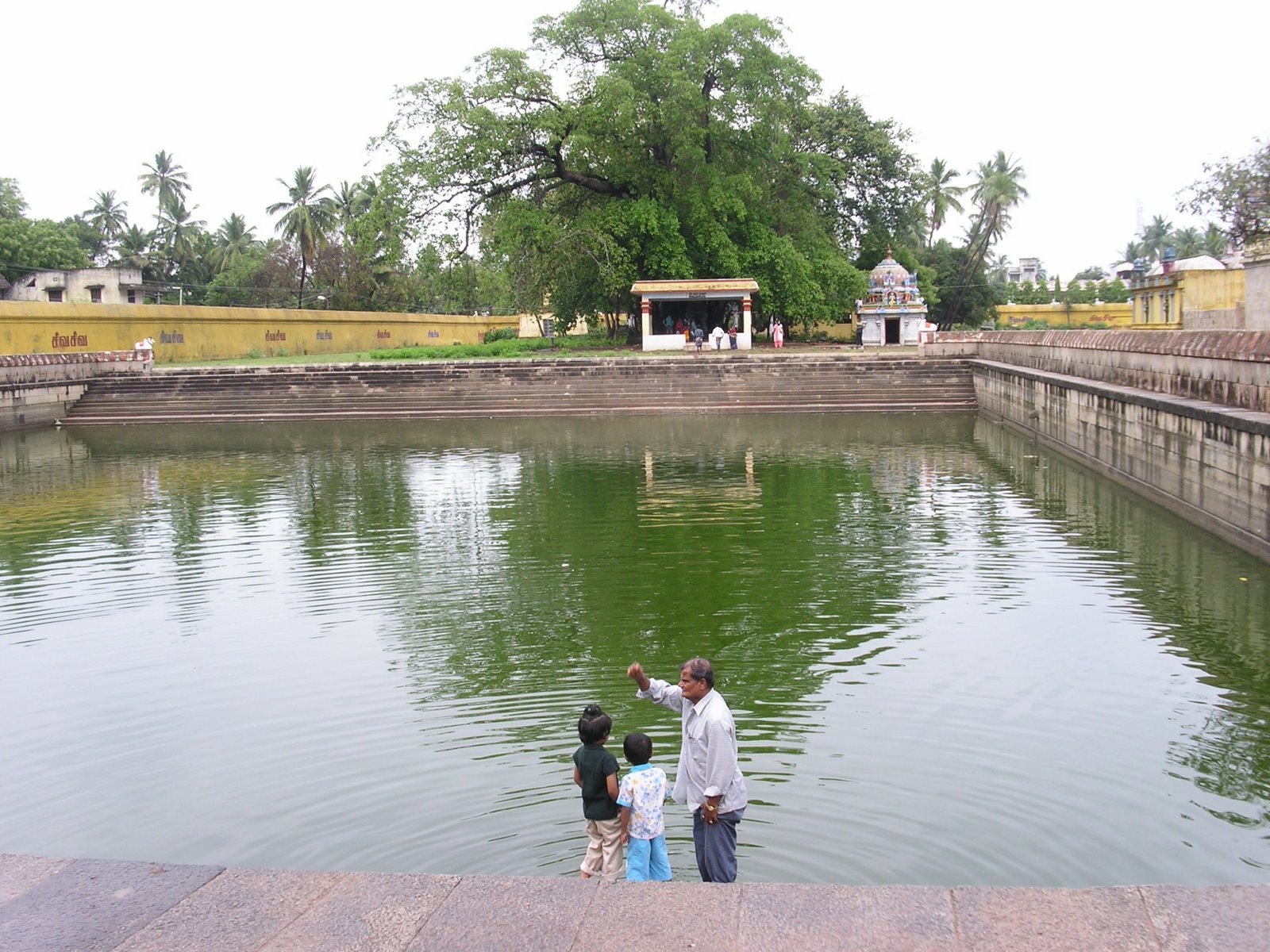 [PICT0142.JPG]