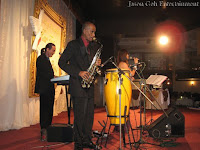 Side view of the wedding live band during their performance