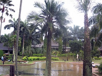 an image of cyberview lodge's swimming pool