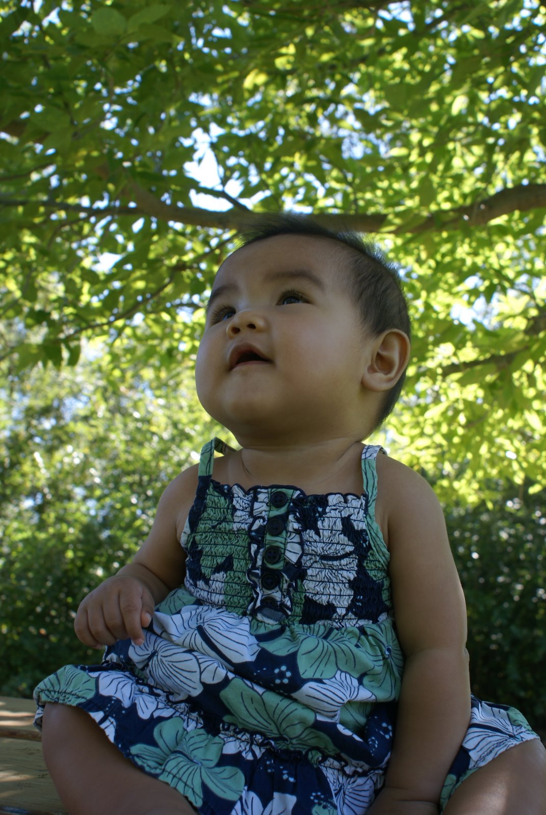 [DSC01872.JPG]