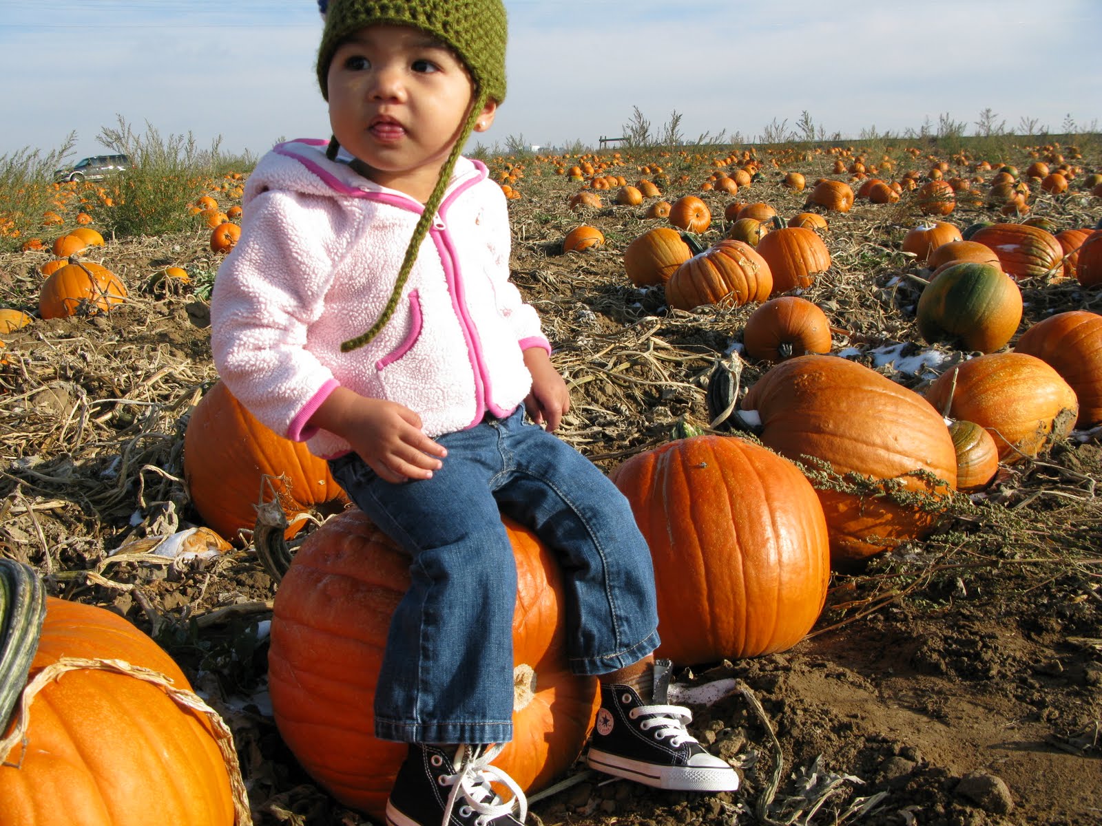 [IMG_1772.JPG]