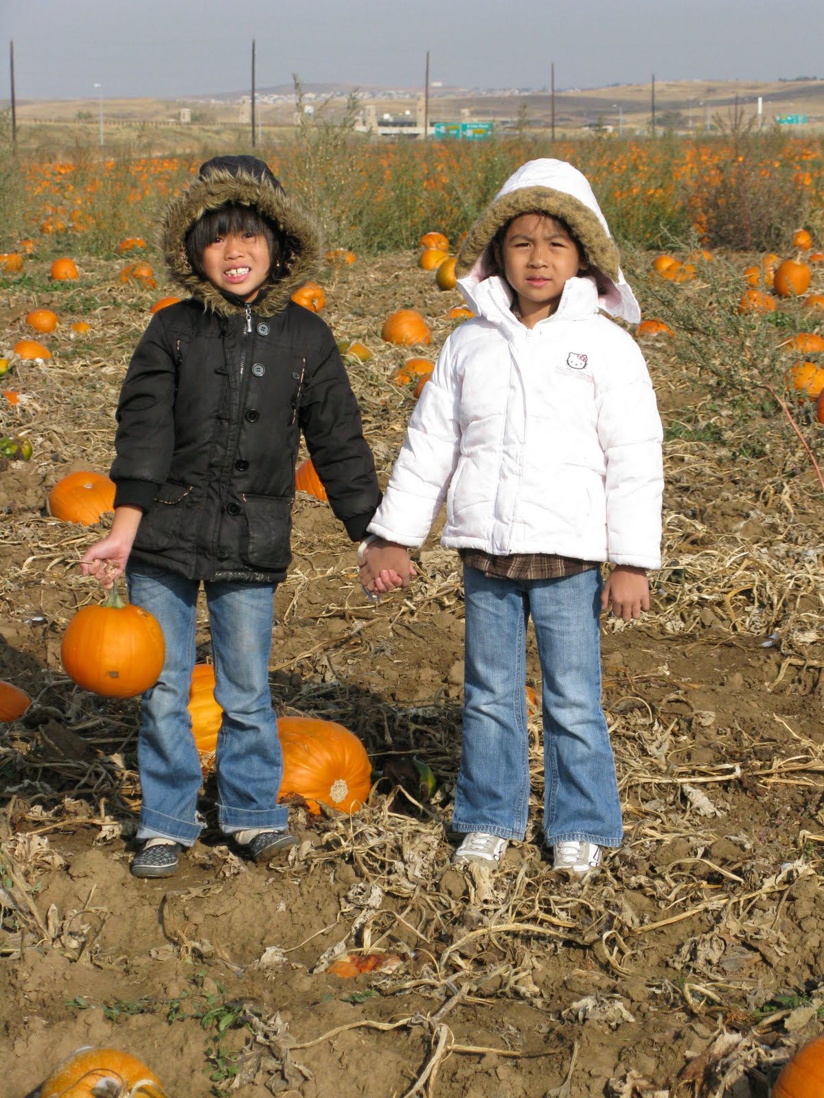 [IMG_1744.JPG]