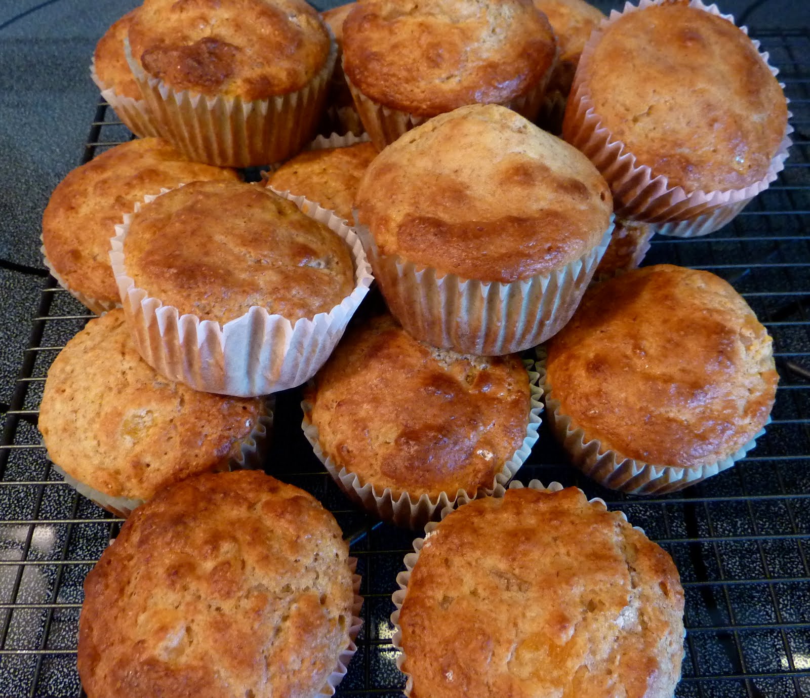 Apricot Muffins