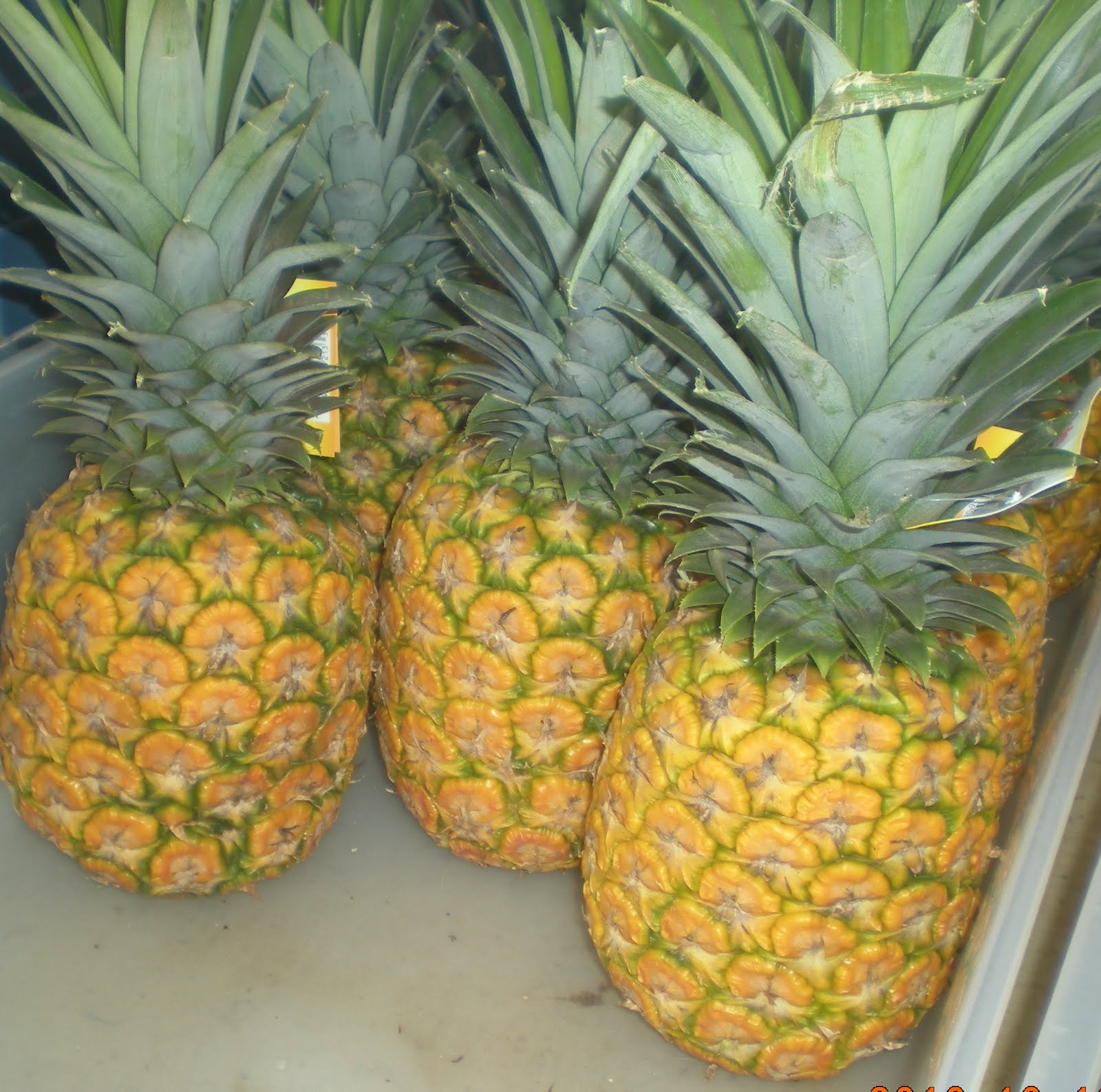 Experience Hawaii Enjoy Honolulu Festival Funny Hawaiian Fruits