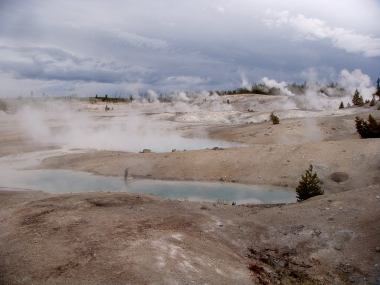 More Geysers in Norris Basin