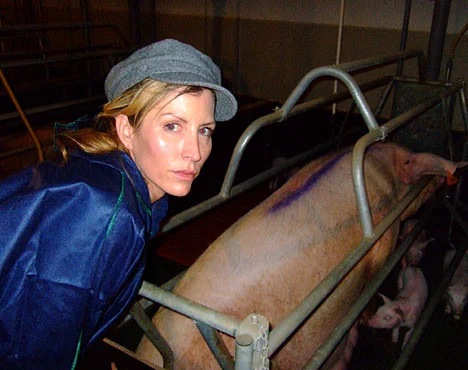 Heather Mills in pig farm raid to highlight 'cruelty'