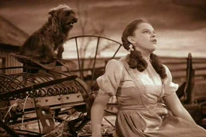 Dorothy and Toto from the Wizard of Oz