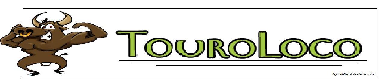 TouroLoco - O touro é louco, mas não é maluco