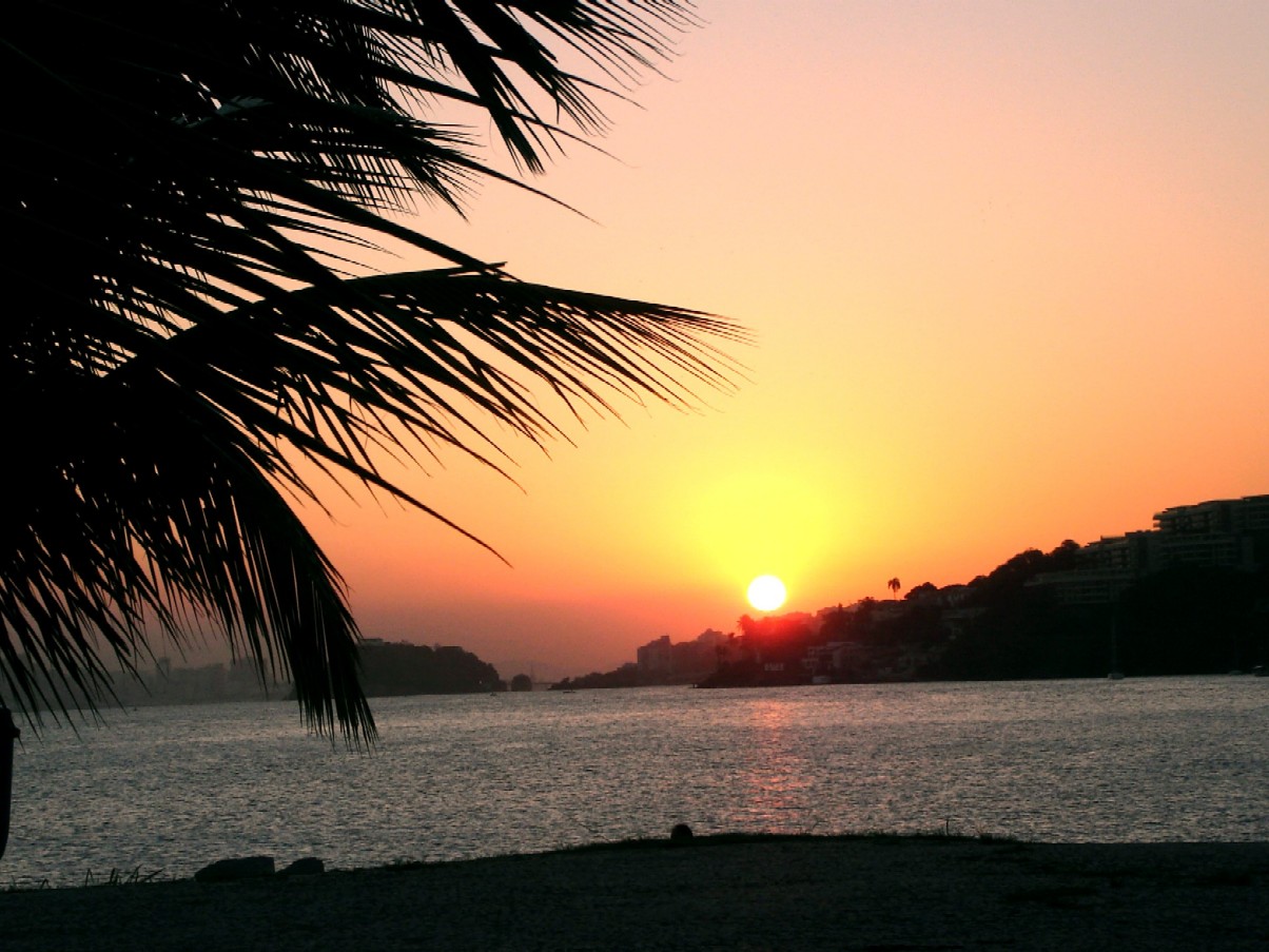 sol nascente