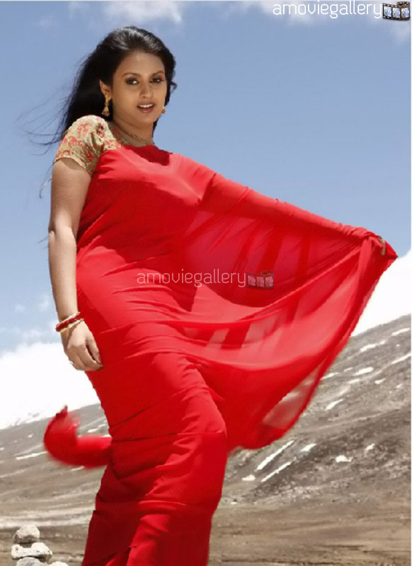 actress kalyani navel kalyani cute saree stills kalyani latest unseen photo actress kalyani navel kalyani cute saree stills kalyani latest unseen photo