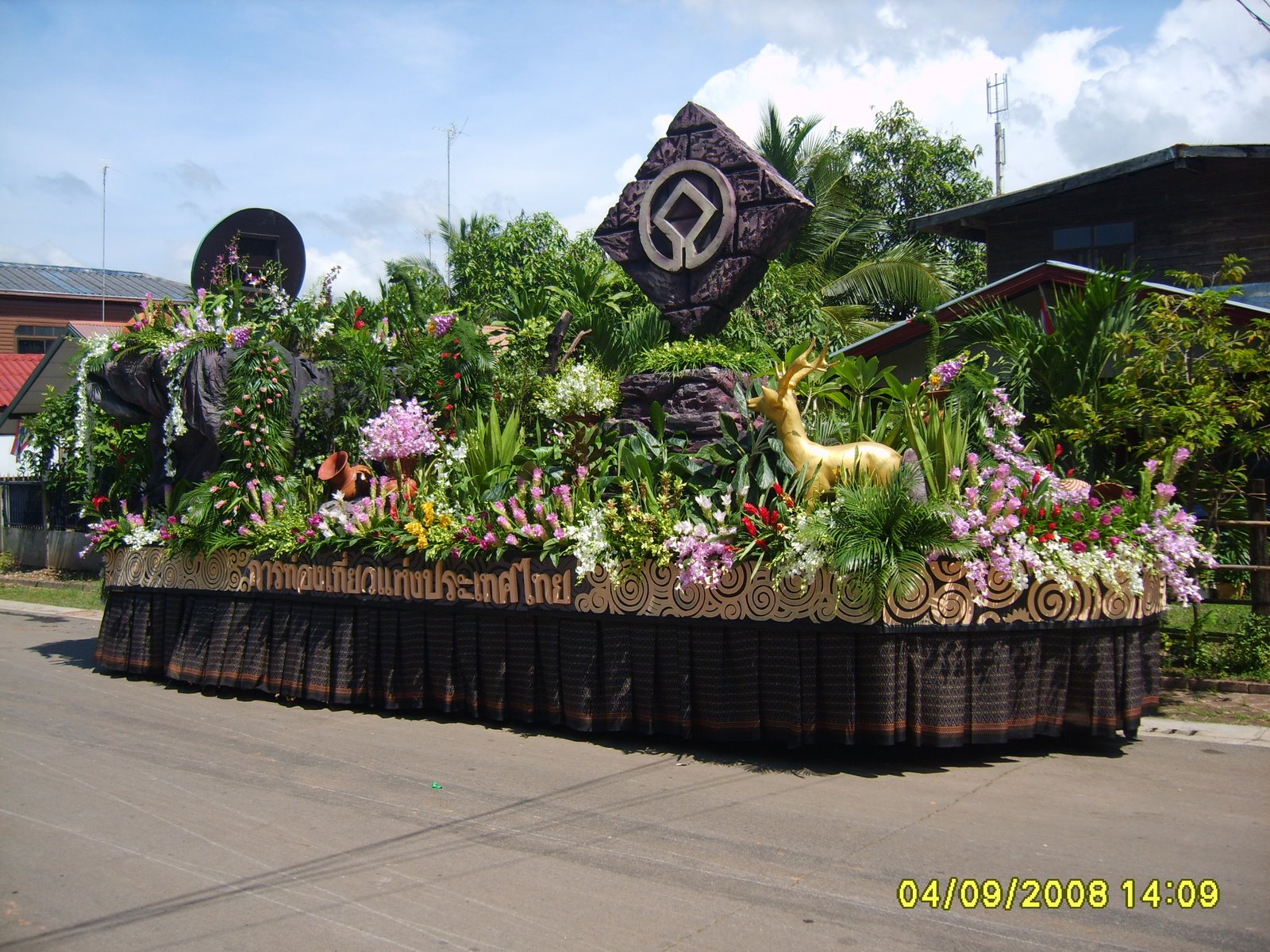 [S8000113.JPG]