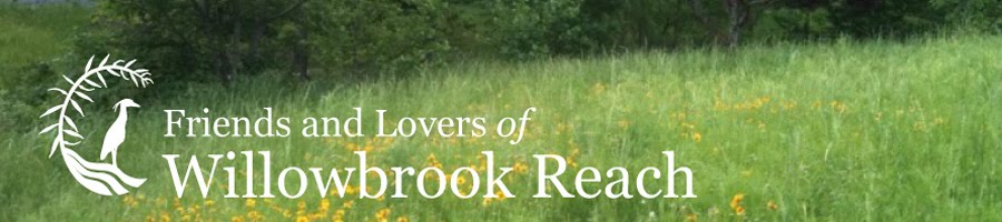 Willowbrook Reach