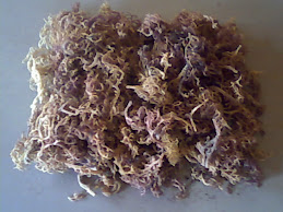 Dried E. Cottonii Seaweed
