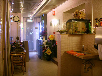 beautiful toilet, weird toilet, livable toilet, decorated toilet