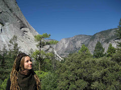 Yosemite heights