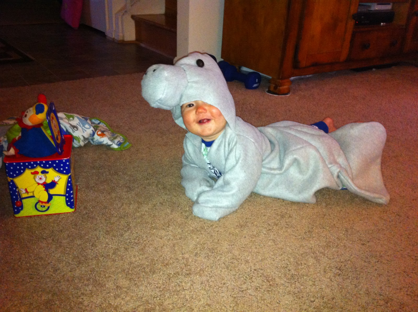 Baby Sea Cow