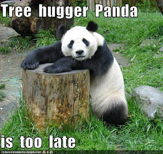 funny-pictures-tree-hugger-panda.jpg
