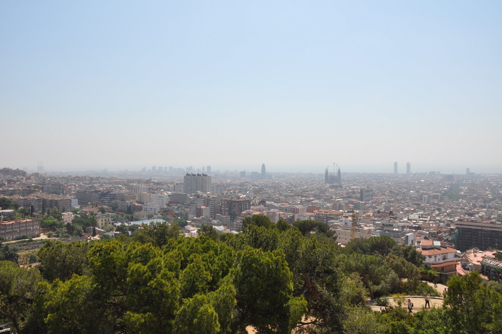 [DSC_0147.JPG]