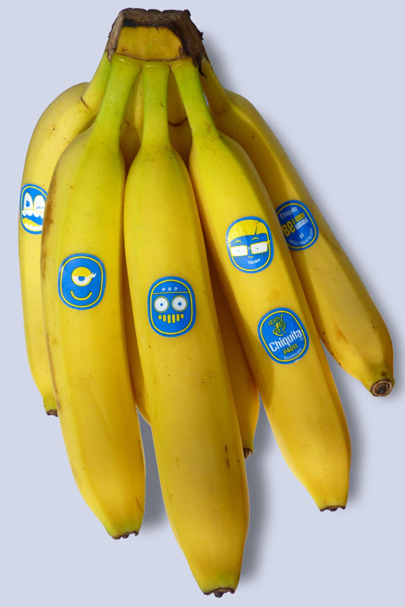 [chiquita-bananas-redesign-bunch-stickers.jpg]