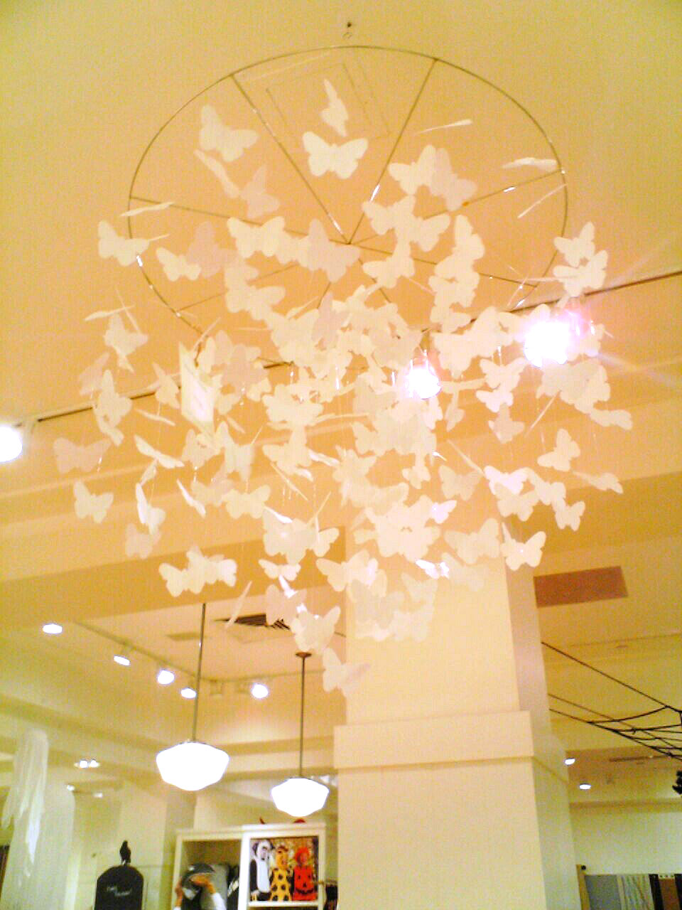 [6036646322_ORIG.jpeg]