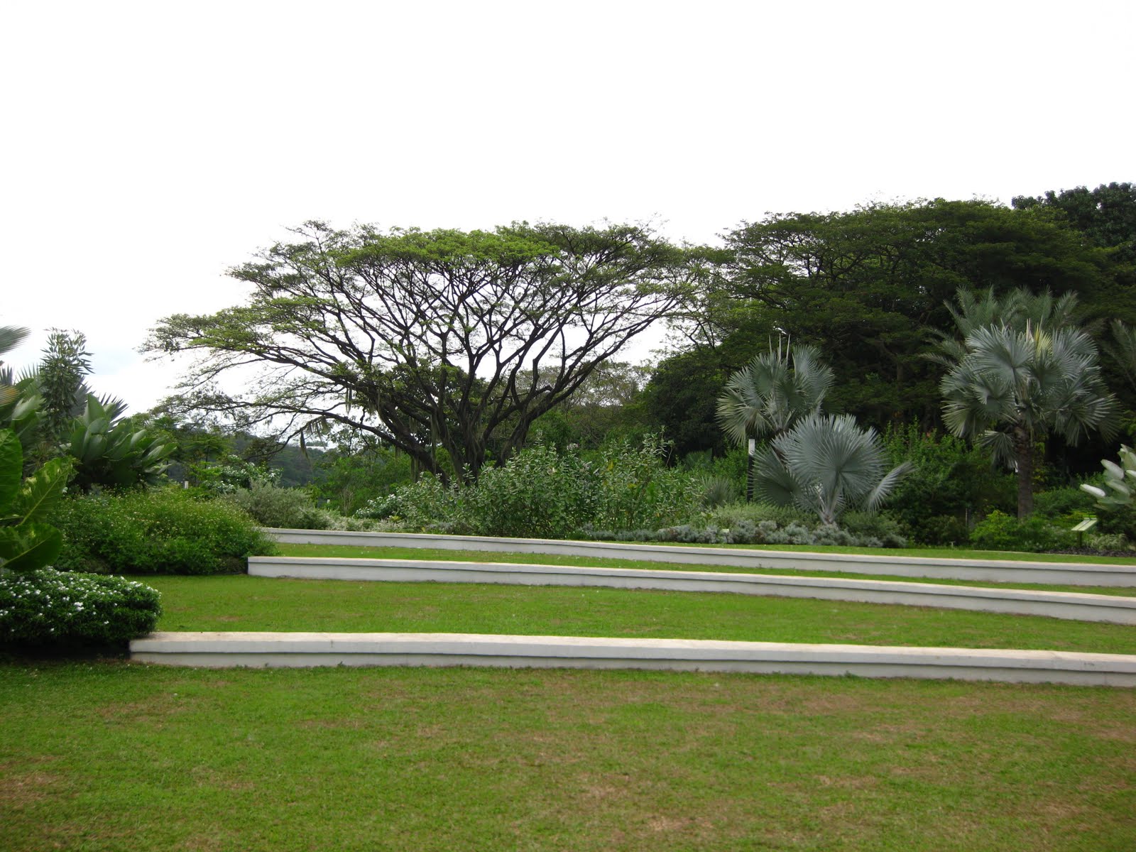 Big Lawn