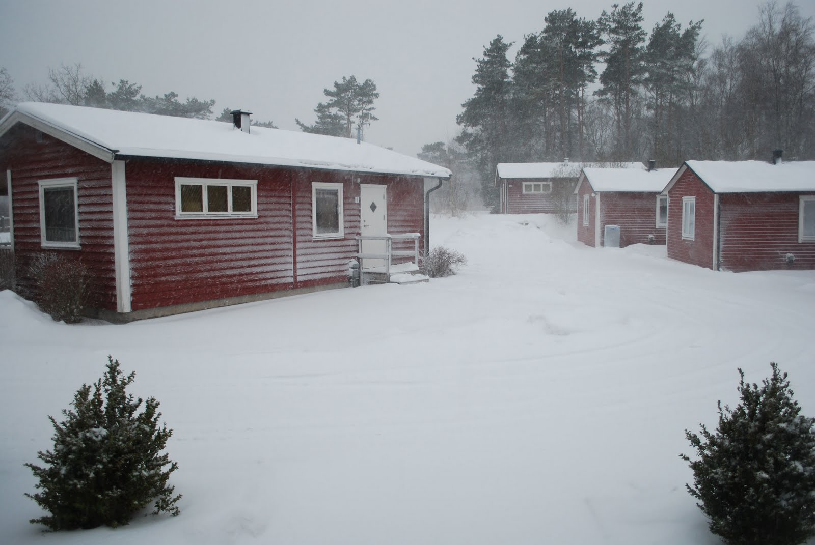 [vinter4.jpg]