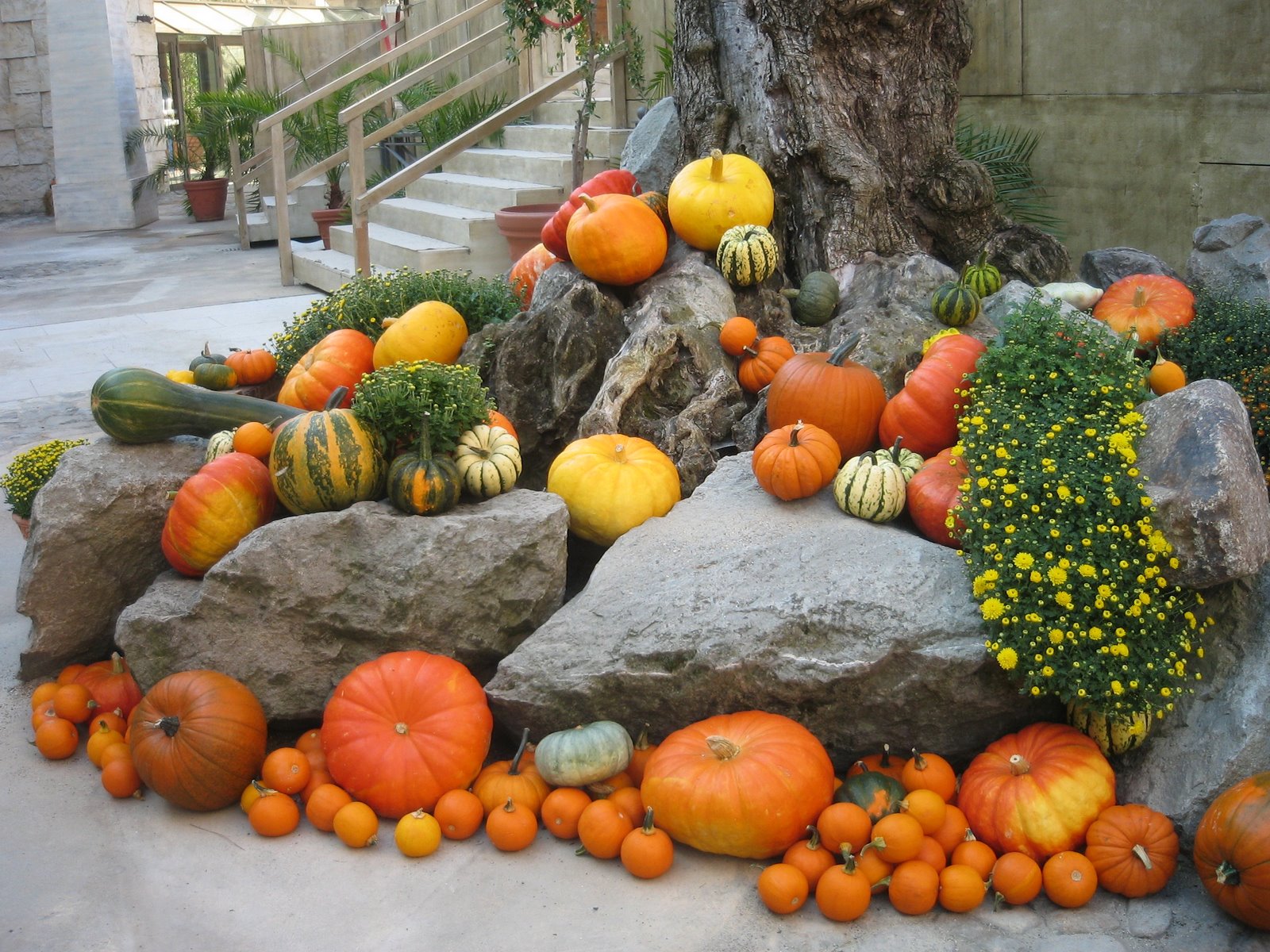 [Hösten+2008+031.jpg]