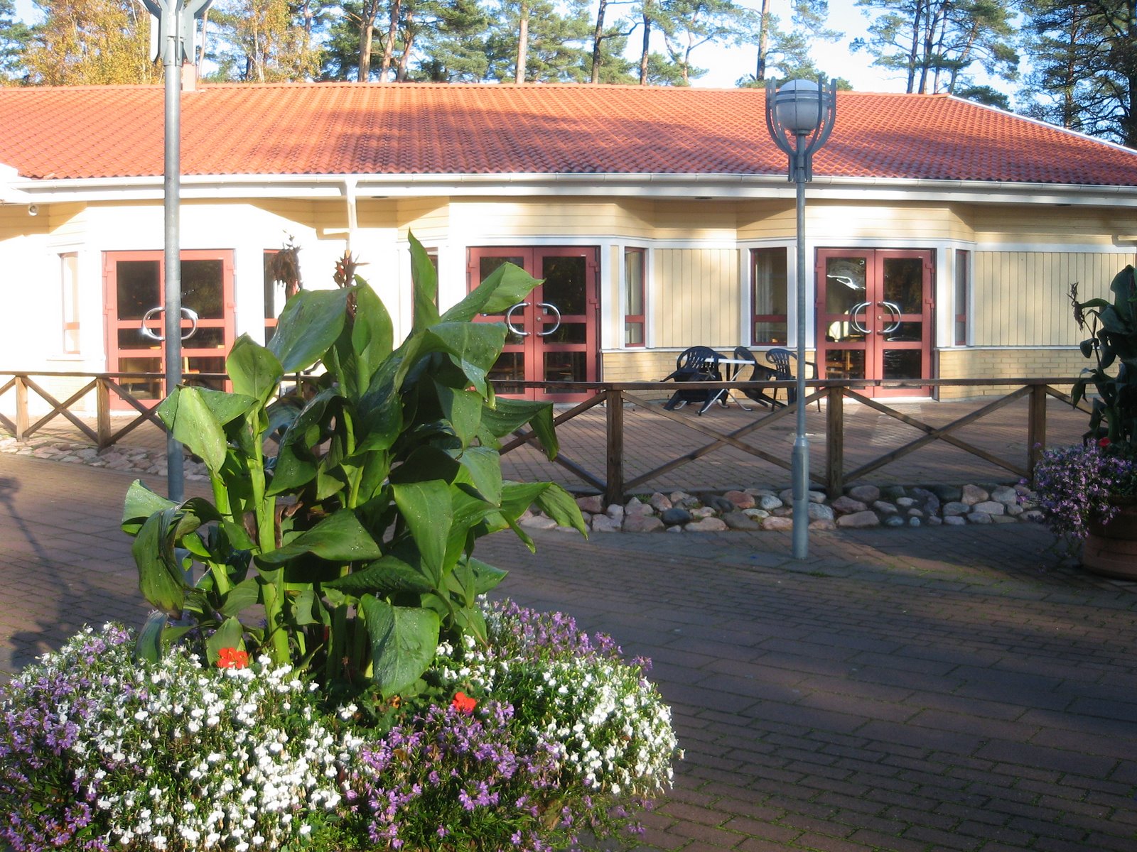 [Hösten+2008+102.jpg]