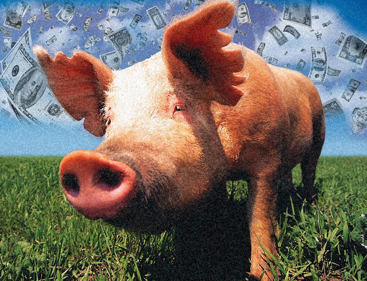 [hurt.pork2000.jpeg]