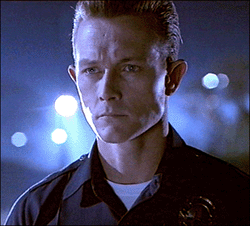 [T-1000.gif]