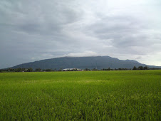 Gunung Jerai