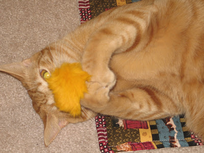 Kitty Birthday