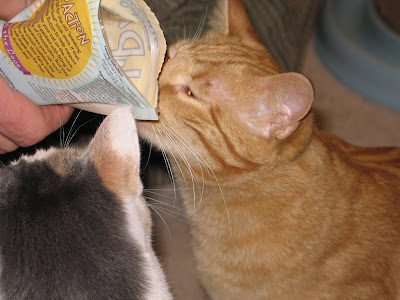 Treats